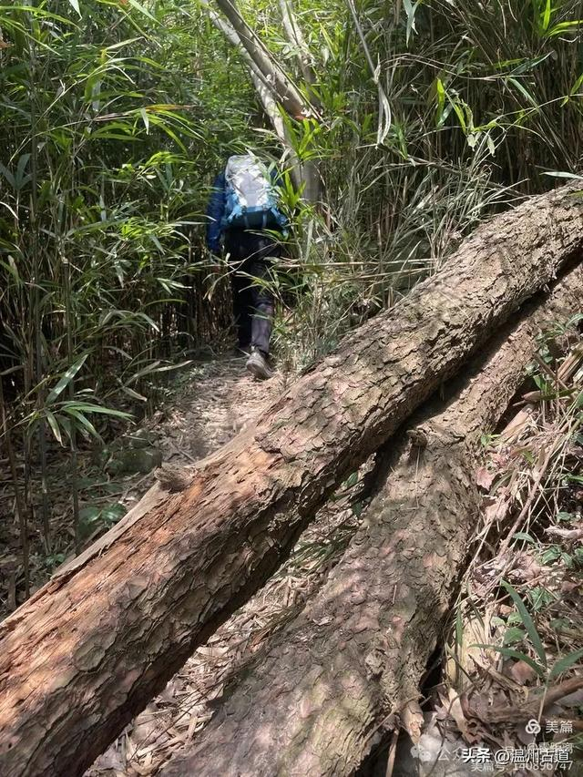 罗山第一虐九尖穿越你可曾挑战过