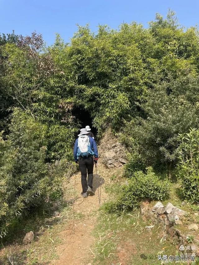 罗山第一虐——九尖穿越,你可曾挑战过?|驴友_新浪新闻