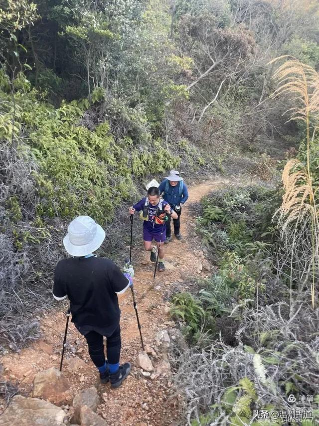 罗山第一虐——九尖穿越,你可曾挑战过?|驴友_新浪新闻