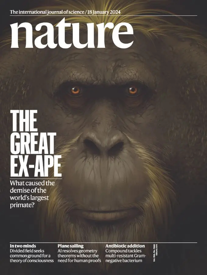 史前巨兽最后的栖息地在广西