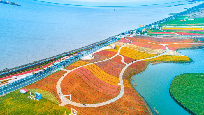 2024"花开启东"春季文化旅游季浪漫启幕|东方市_新浪新闻