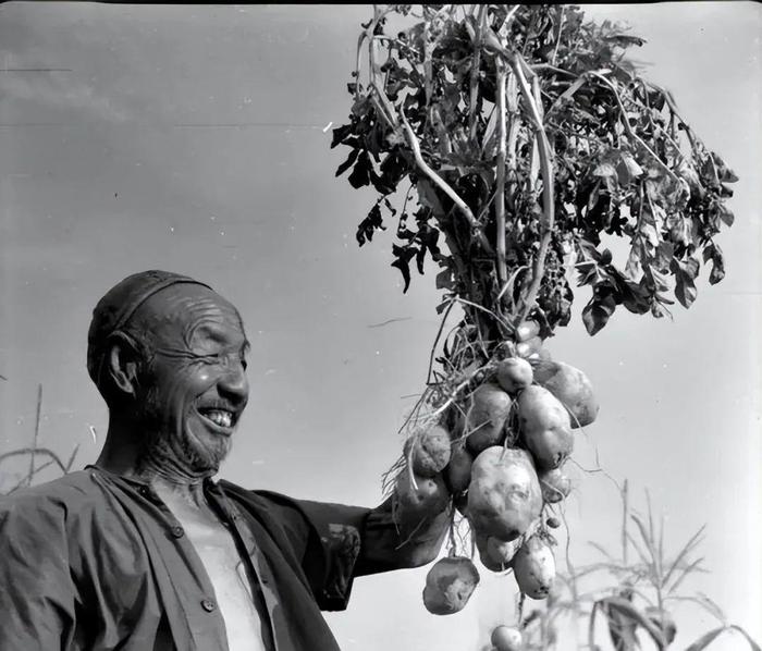 不堪回首 70年代老照片