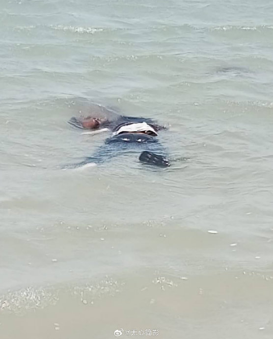 多家外媒报道,8名来自中国的非法移民遭遇翻船事故…|非法移民|外媒