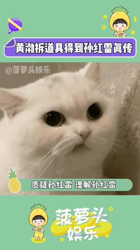 黄渤拆道具得到孙红雷真传孙红雷人虽不到强拆精神永存盒子里的猫黄渤