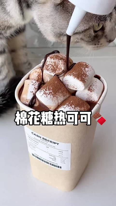巧克力可可粉简单2步搞定一杯好喝的棉花糖热可可