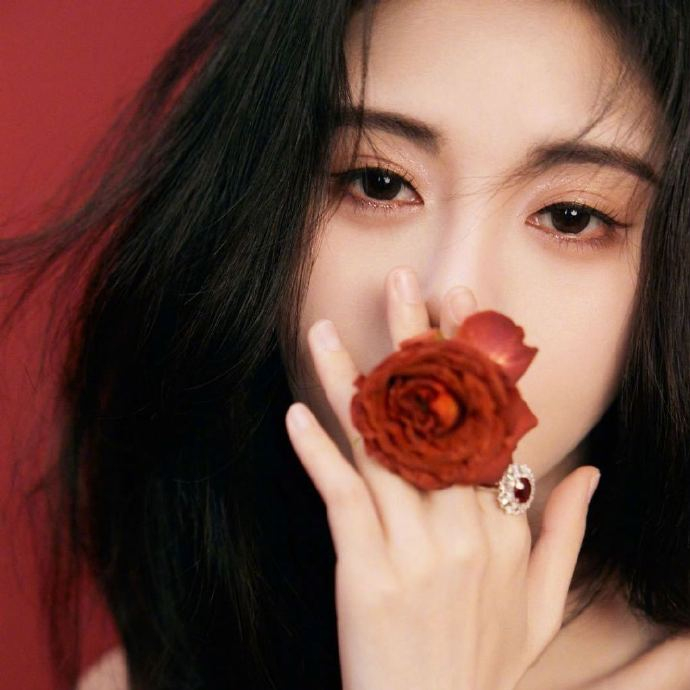 鞠婧祎换新头像啦! 热烈浪漫的玫瑰女王,我的心已轻轻吻上