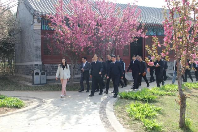 市委书记张伦调度牡丹节会筹备工作情况|市委书记_新浪新闻
