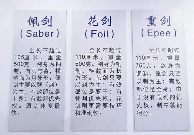 未央区前进教育集团先锋小学杨迦舒同学荣获女子佩剑丙组冠军|击剑