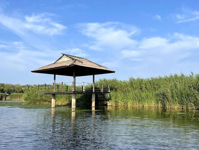 范堤烟雨 |《东方湿地》生态之美与文学之力|湿地||市