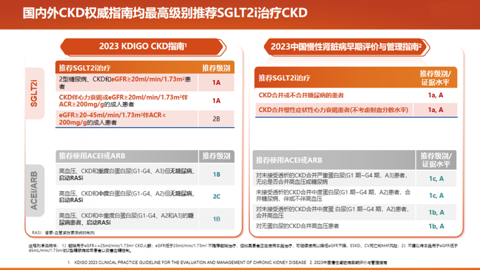 图：国内外CKD权威指南对SGLT2i的治疗推荐