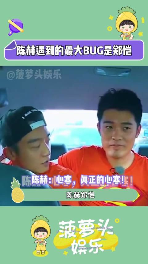 真正的心寒不是大吵大闹盒子里的猫陈赫郑恺_手机新浪网