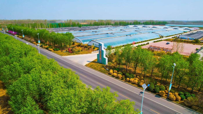 甜美高官寨 瓜香飘四方 2024年济南章丘高官寨甜瓜季启动__财经头条