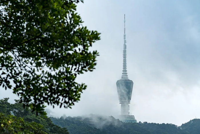 挂网怎么申请31个好消息！4月起深圳将进入开挂模式，你的好日子来了！_https://www.jmylbn.com_新闻资讯_第5张