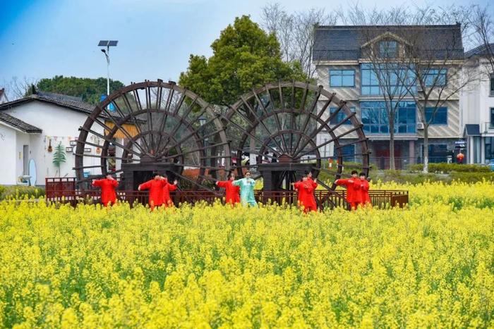 嘉兴美丽乡村风景区图片