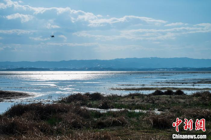 贵州威宁草海春色美