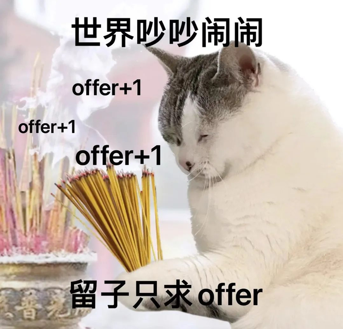美区留子人均几张备胎通知书