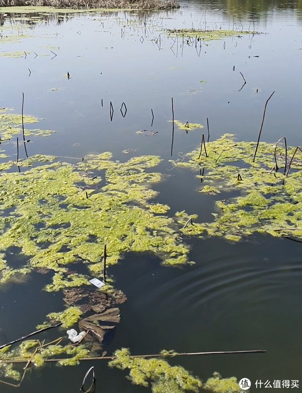 春钓滩珍惜当下时间出发吧伟大的钓手