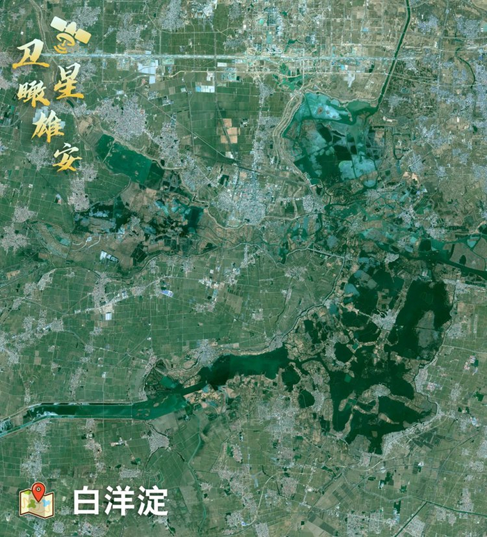 雄安|雄安新区|白洋淀_新浪新闻