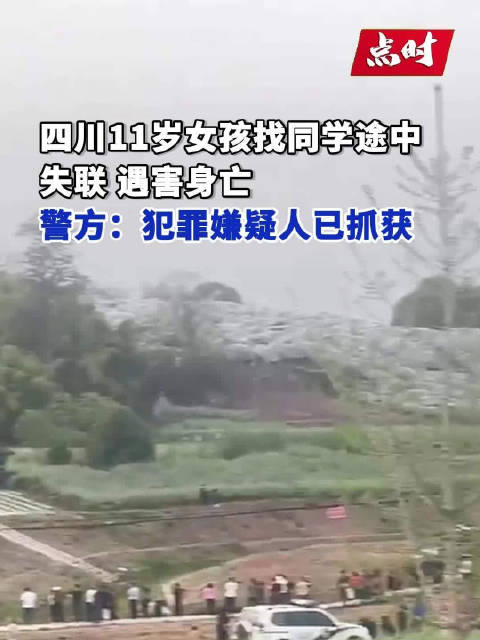 警方通报11岁女孩失联1天后遇害身亡
