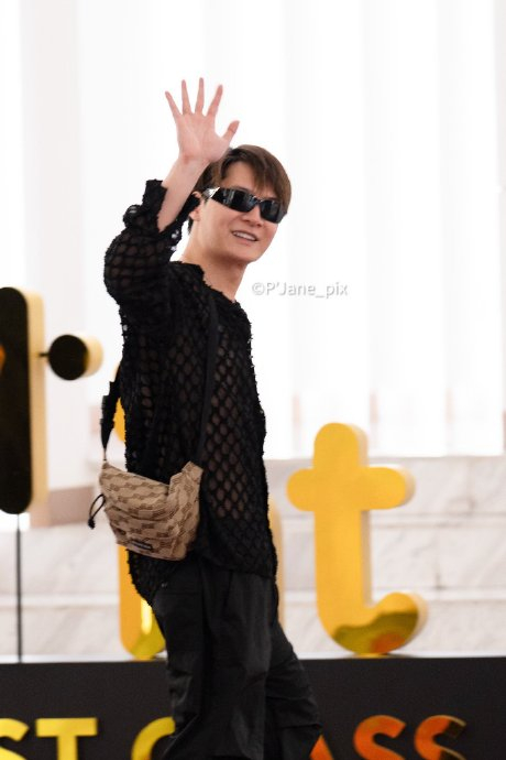 twitter|狮子|twitter_新浪新闻