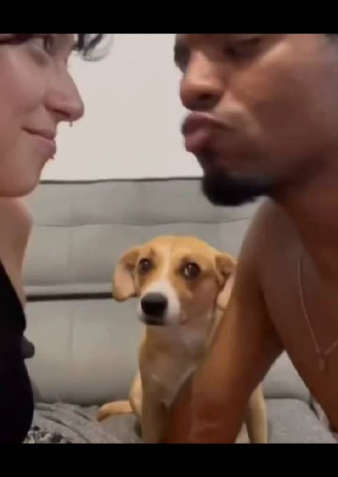 它脑子里闪出一万个想法后觉得自己也可以dogedogedog