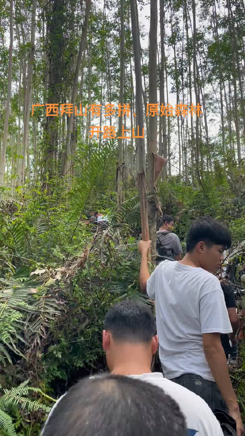 华南f3拜山活动开始…_手机新浪网