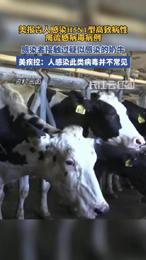 美报告人感染高致病性禽流感病毒病例
