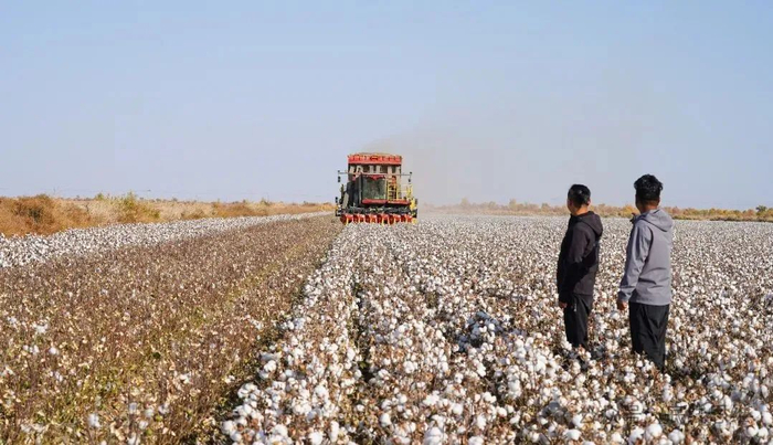 艾海鹏和凌磊（受访者供图，下同）