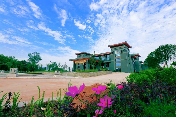 渠县,火了!|文化博物馆|渠县|文化_新浪新闻