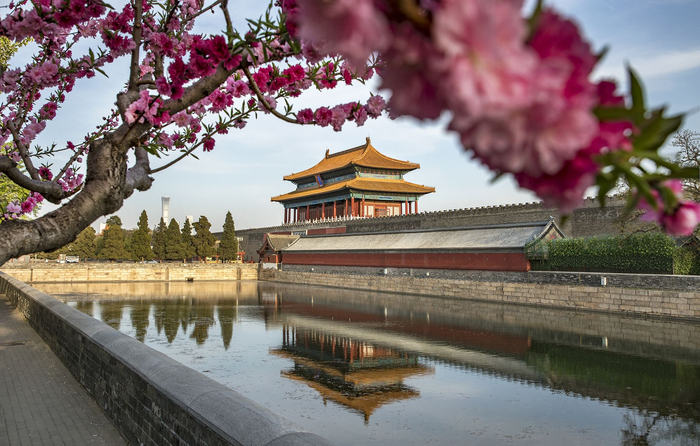 北京紫禁城外春意盎然