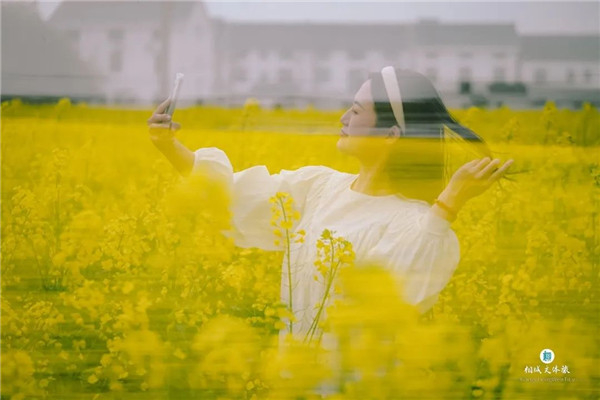 冯梦龙|油菜花_新浪新闻