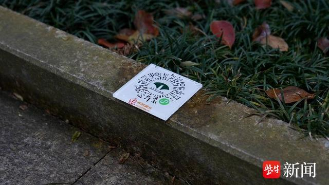 她每年都会在清明节前夕前来祭扫,"今年墓碑上多了个二维码,我扫了一