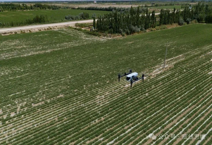 用遥感无人机巡田