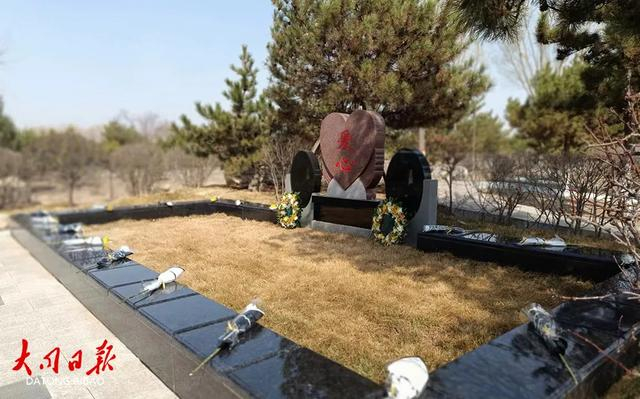 树葬、草坪葬、壁葬……关于生态葬你了解多少？|大同市|山西省|环保|公墓|逝者_新浪新闻
