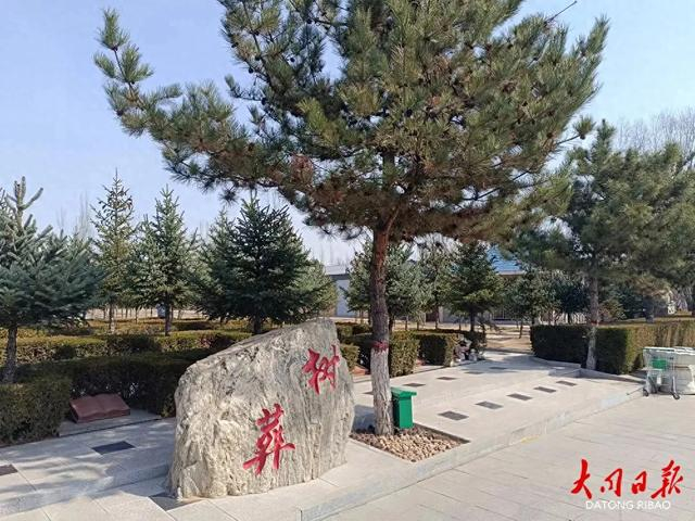 树葬、草坪葬、壁葬……关于生态葬你了解多少？|大同市|山西省|环保|公墓|逝者_新浪新闻