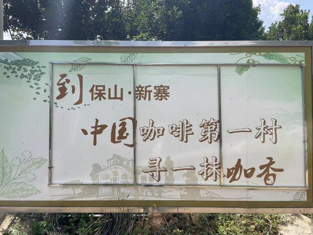 万千气象看云南保山隆阳一颗咖啡豆推动潞江坝农文旅深度融合发展