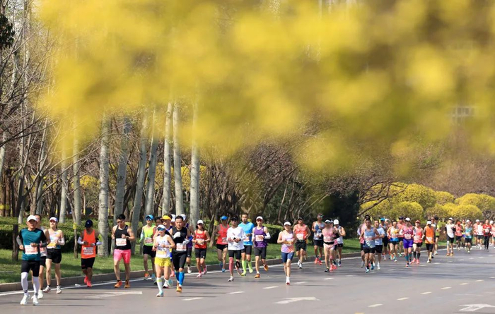 3月31日，参赛选手在比赛中。新华社发（梁子栋摄）