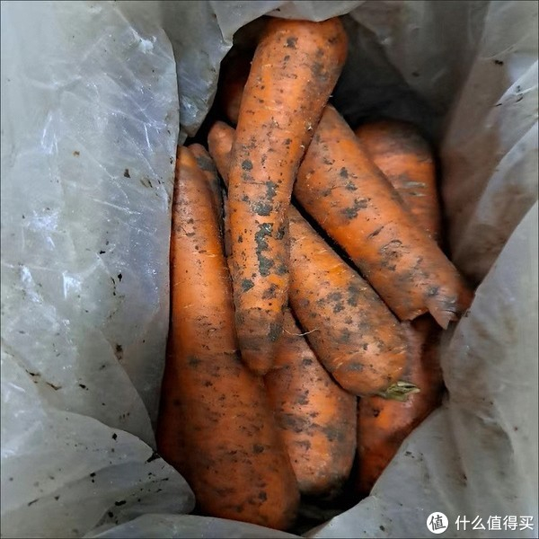 春日这么有营养的胡萝卜你们一定要吃