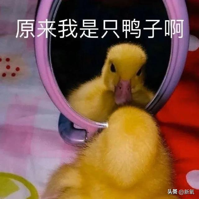 离婚后和弟弟恋爱拿顶奢代言,她怎么不算娱乐圈第二