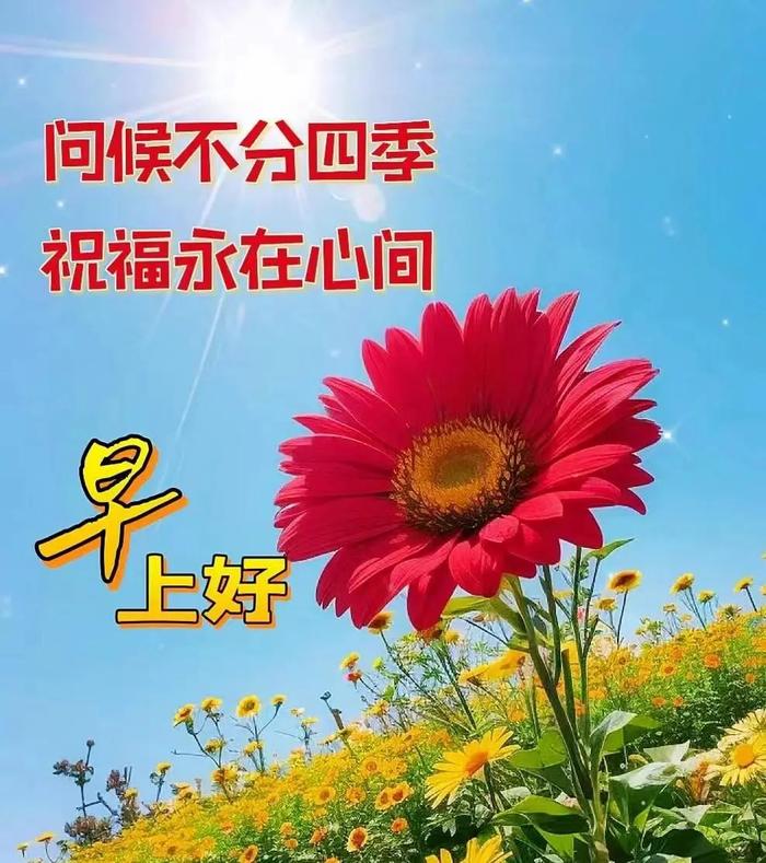 最新早上好问候图片大全,今天早上好群友祝福语温馨问候语