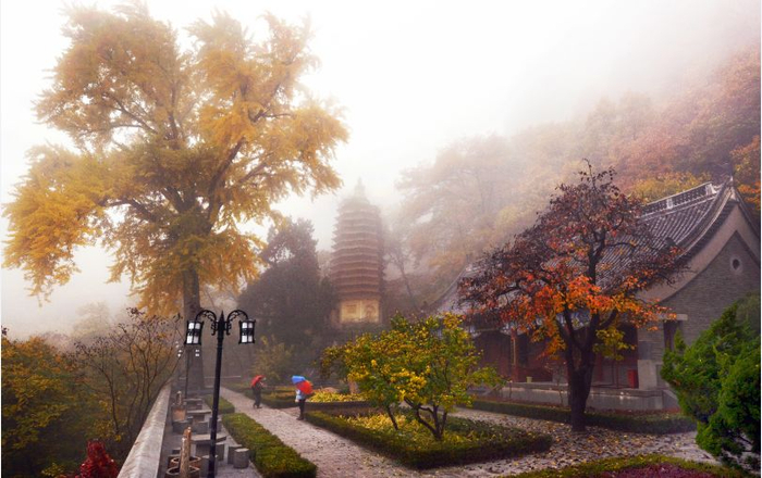 天津/北京62盘山,明日起新增旅游专线!