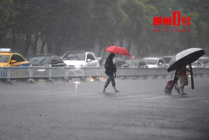 未来三天仍有强对流天气→|大风|大雨|暴雨_新浪新闻