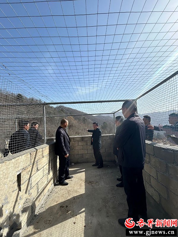 佛坪县政协委员工作室活动助林麝有"家"可栖__财经头条