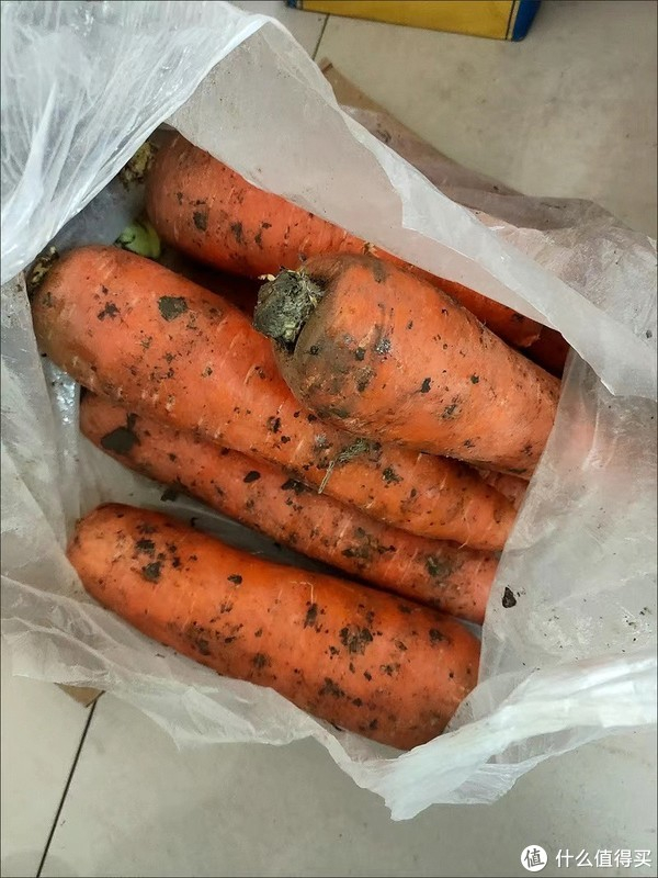 春日这么有营养的胡萝卜你们一定要吃