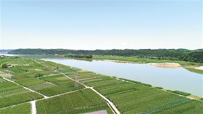 涪江两岸麦冬香道地药材巡礼四川篇