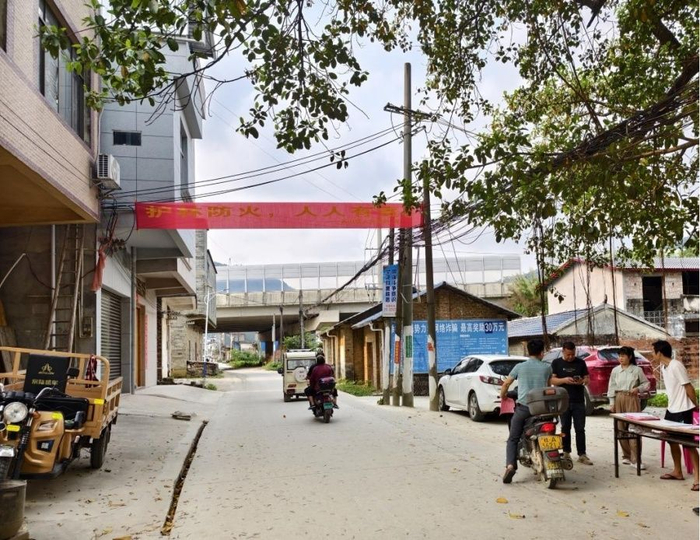 宾阳县宾州镇人大牢抓清明节关键点 筑好森林"防火墙"|森林防火|防火