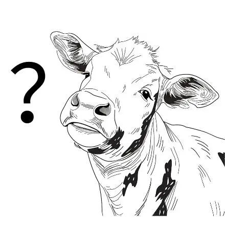 四川一城在"火辣"赛道上喊出新口号|火锅_新浪新闻