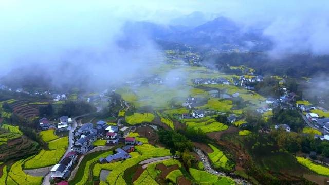 雨后汉阴,梯田油菜花海更显生机,云雾缭绕间,仿佛仙境降临
