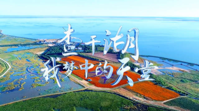 《查干湖我梦中的天堂》那里的湖水碧波荡漾,那里的湿地鸟语花香