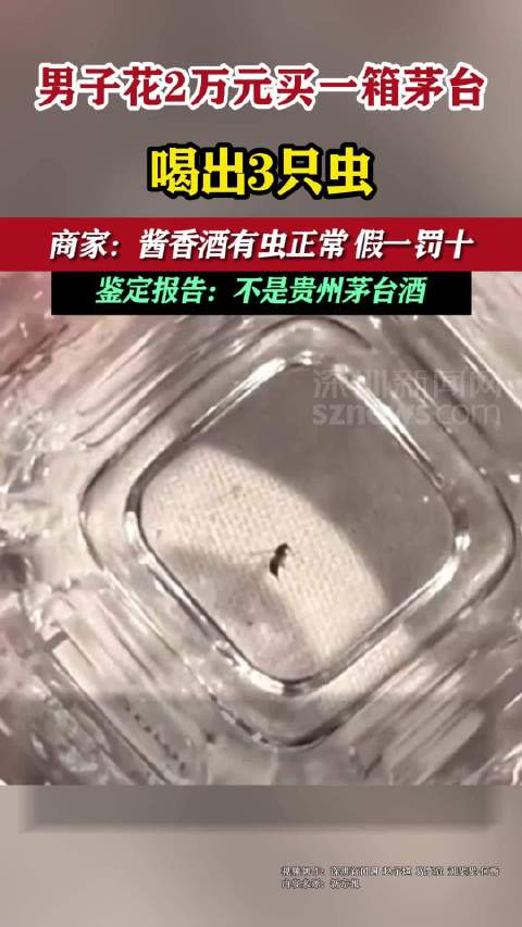 男子花近2万元买一箱茅台喝出3只虫鉴定报告不是贵州茅台酒